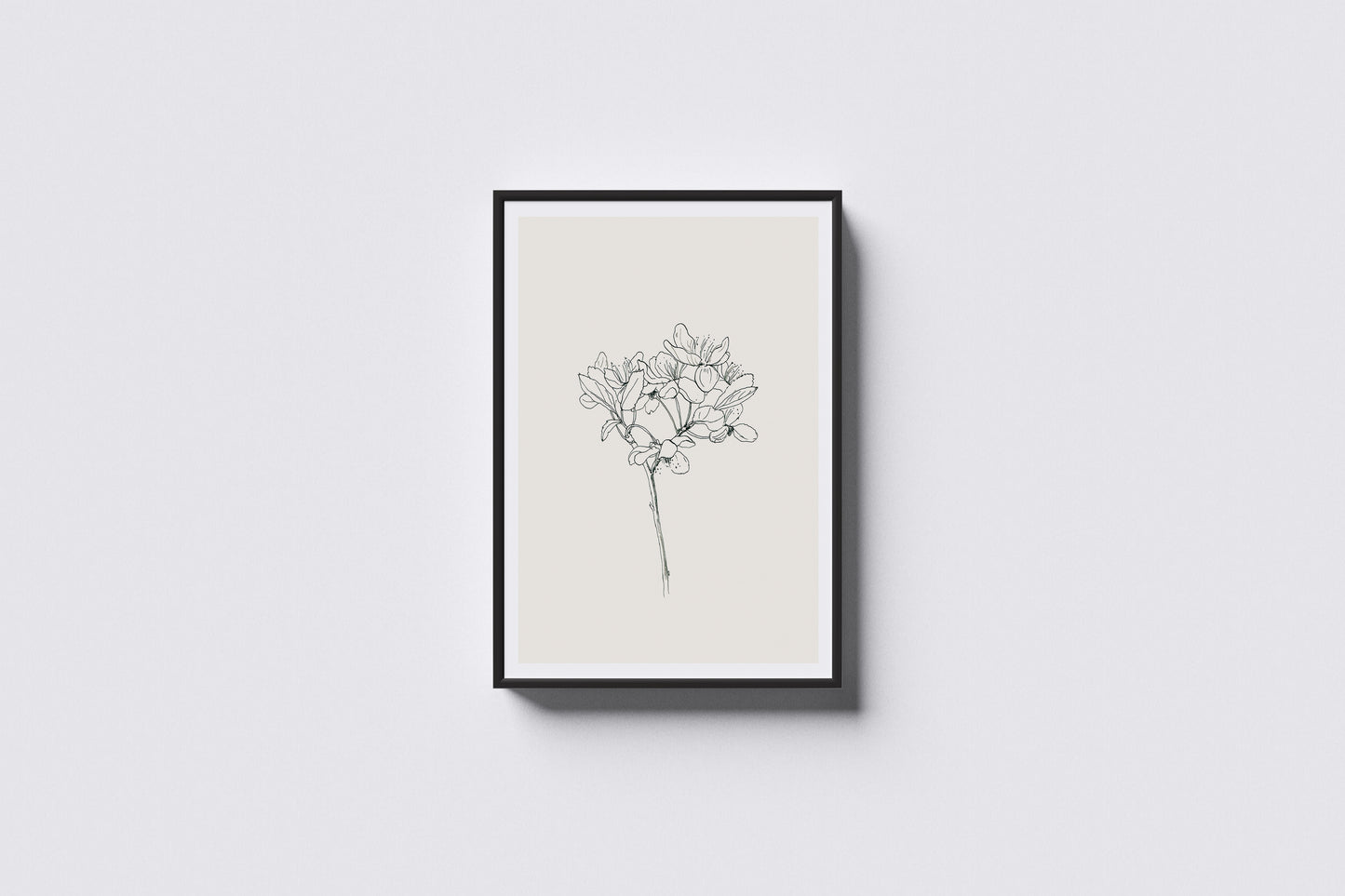 Print Nature Almond Blossom Drawing Vintage Illustration 40x50cm