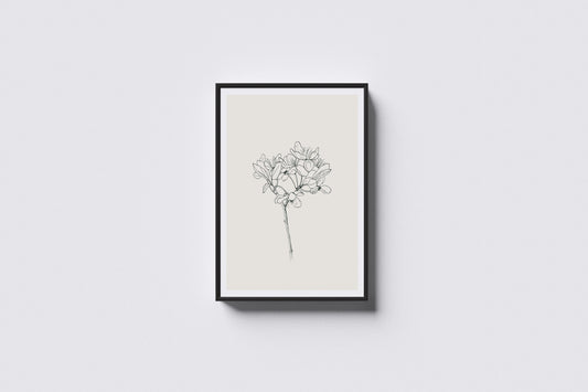 Print Nature Almond Blossom Drawing Vintage Illustration 40x50cm