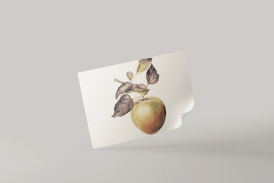 Print Nature Apple Branch Vintage Paint 32x19cm