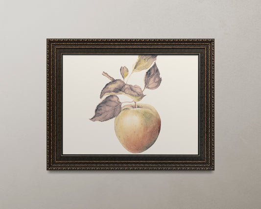 Print Nature Apple Branch Vintage Paint 32x19cm