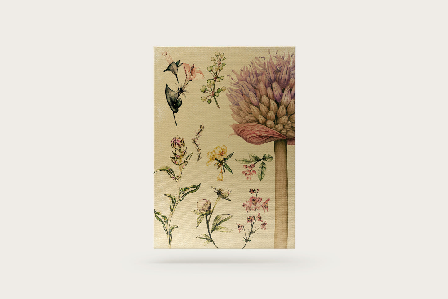 Print Nature Botanical Plants Vintage Illustration 22.4x32cm