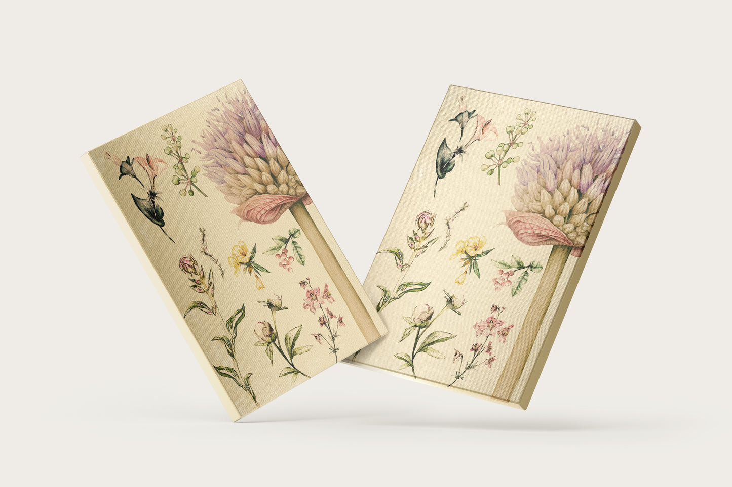 Print Nature Botanical Plants Vintage Illustration 22.4x32cm