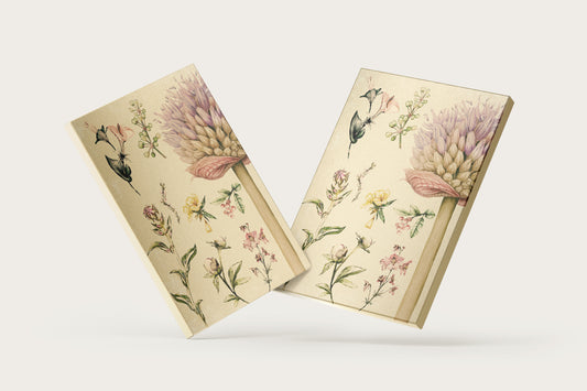 Print Nature Botanical Plants Vintage Illustration 22.4x32cm