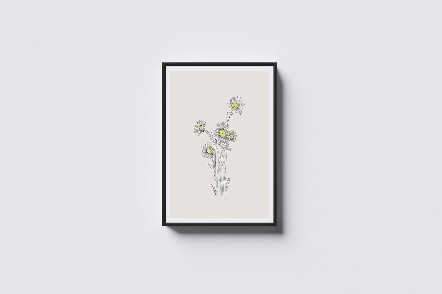 Print Nature Daisies Drawing Vintage Illustration 40x50cm