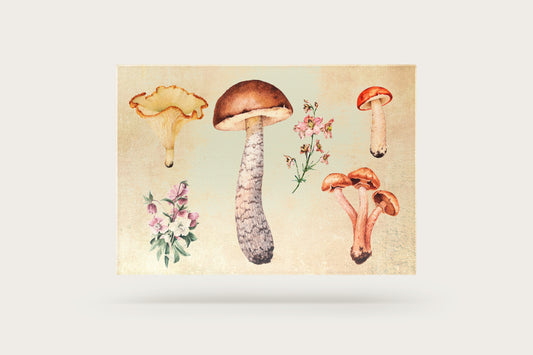 Print Nature Fungus Illustation 166x124cm