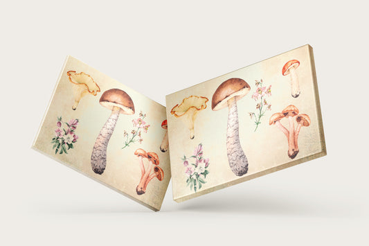 Print Nature Fungus Illustation 166x124cm