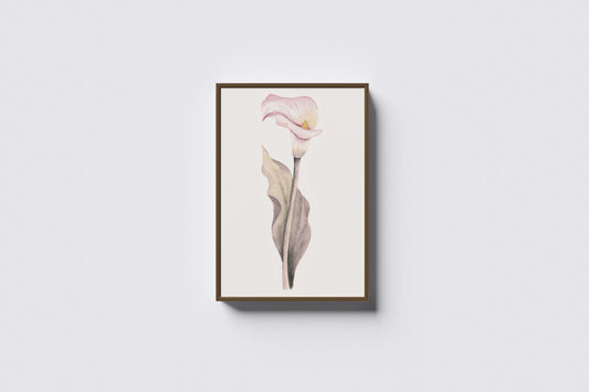 Print Nature Lily Flower Pink Vintage Paint 17.9x27cm