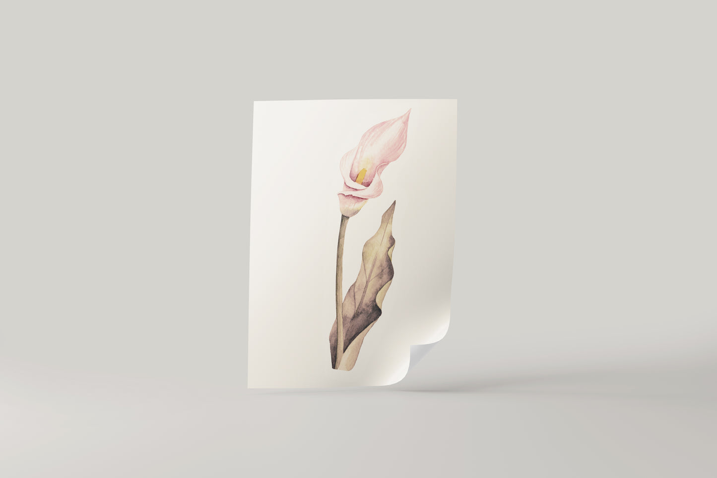 Print Nature Lily Flower Pink Vintage Paint 17.9x27cm