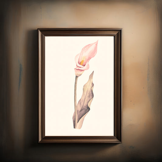 Print Nature Lily Flower Pink Vintage Paint 17.9x27cm