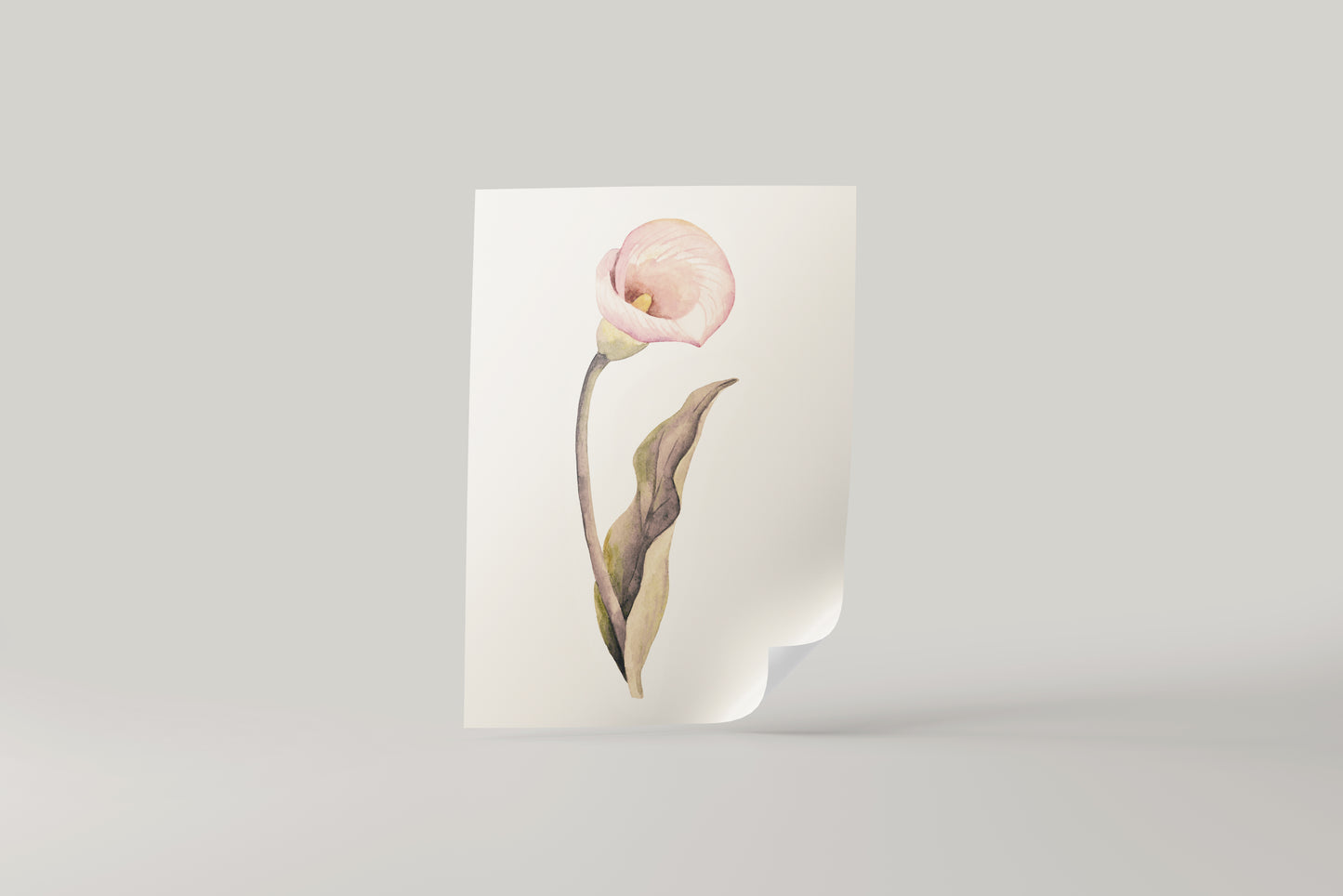 Print Nature Lily Flower Pink Vintage Paint 17.9x27cm