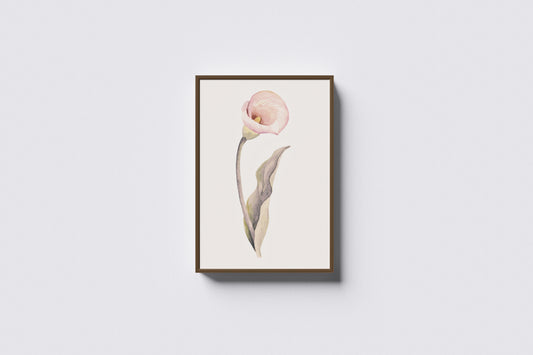Print Nature Lily Flower Pink Vintage Paint 17.9x27cm