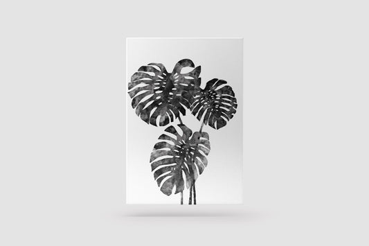 Print Nature Monstera Deliciosa Black & White Watercolor Illustration 62x83cm