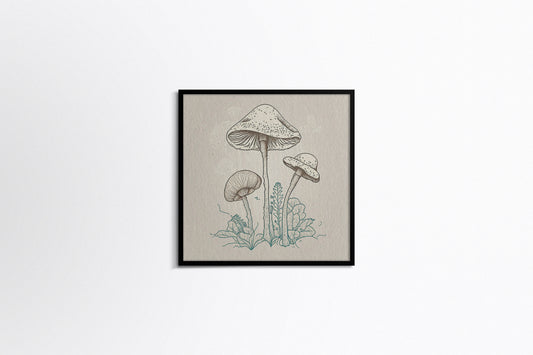 Print Nature Mushrooms Drawing Illustration 25x25cm