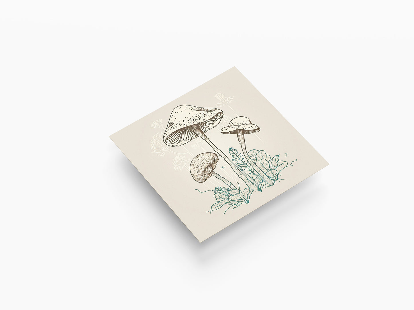 Print Nature Mushrooms Drawing Illustration 25x25cm
