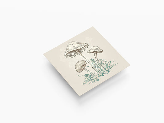 Print Nature Mushrooms Drawing Illustration 25x25cm