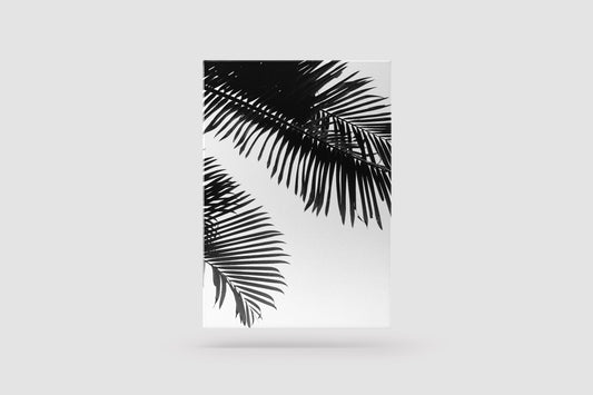Print Nature Palm Leaves Black & White Photography 62x83cm