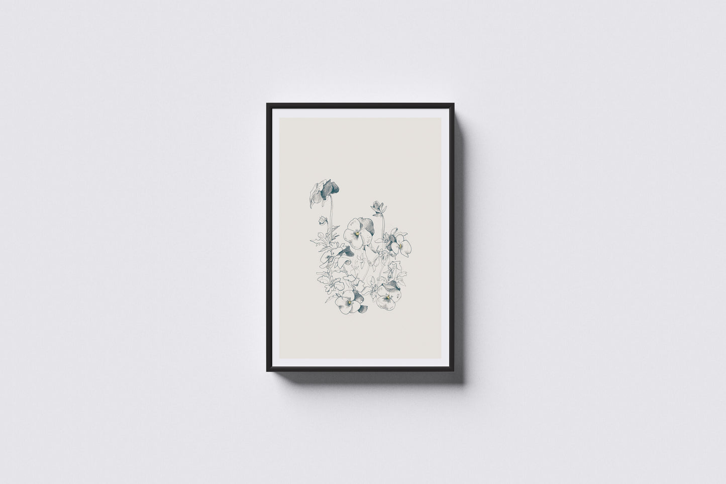 Print Nature Pansy Flower Drawing Vintage Illustration 40x50cm