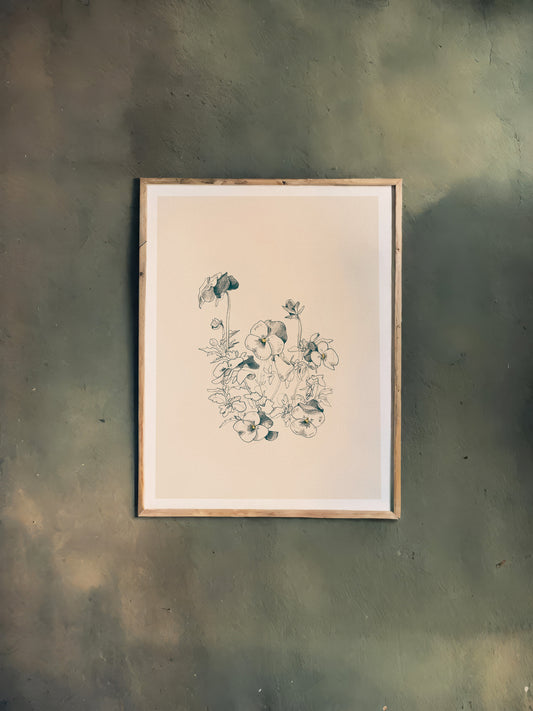 Print Nature Pansy Flower Drawing Vintage Illustration 40x50cm