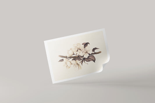 Print Nature Plum Flower Vintage Paint 22x17cm