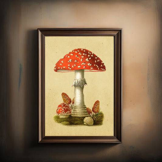 Print Nature Poisonous Mushroom Vintage Illustration 59.4x79.2cm