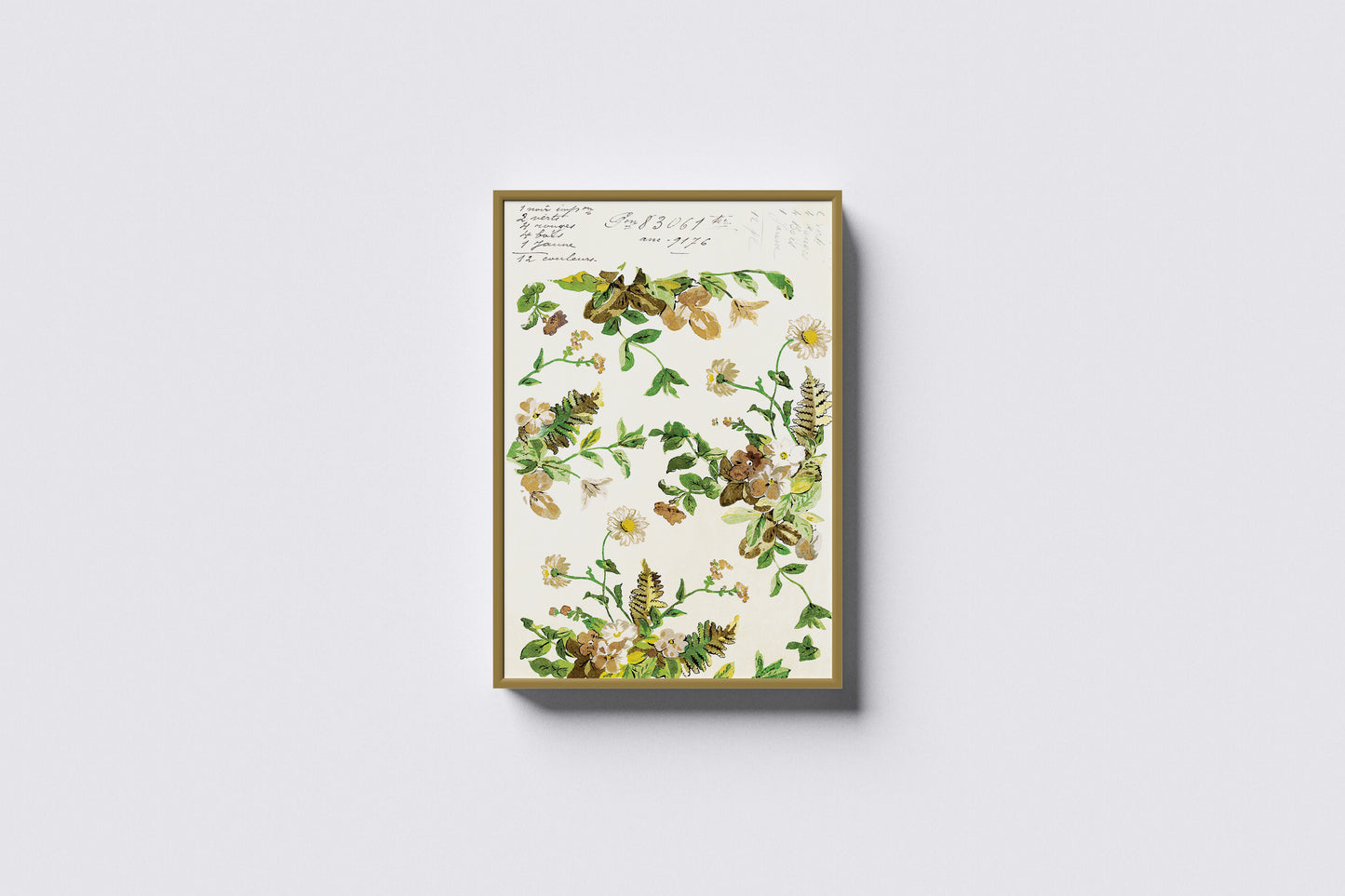 Print Nature Various Botanical Flowers Vintage Illustration 41x52cm