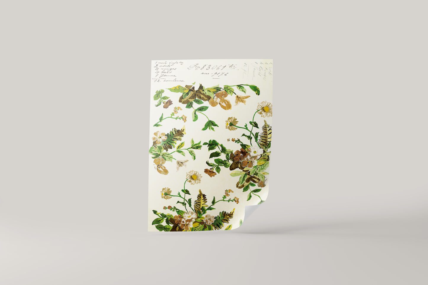 Print Nature Various Botanical Flowers Vintage Illustration 41x52cm