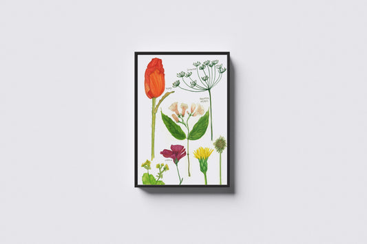 Print Nature Various Flowers Illustration 85x106cm