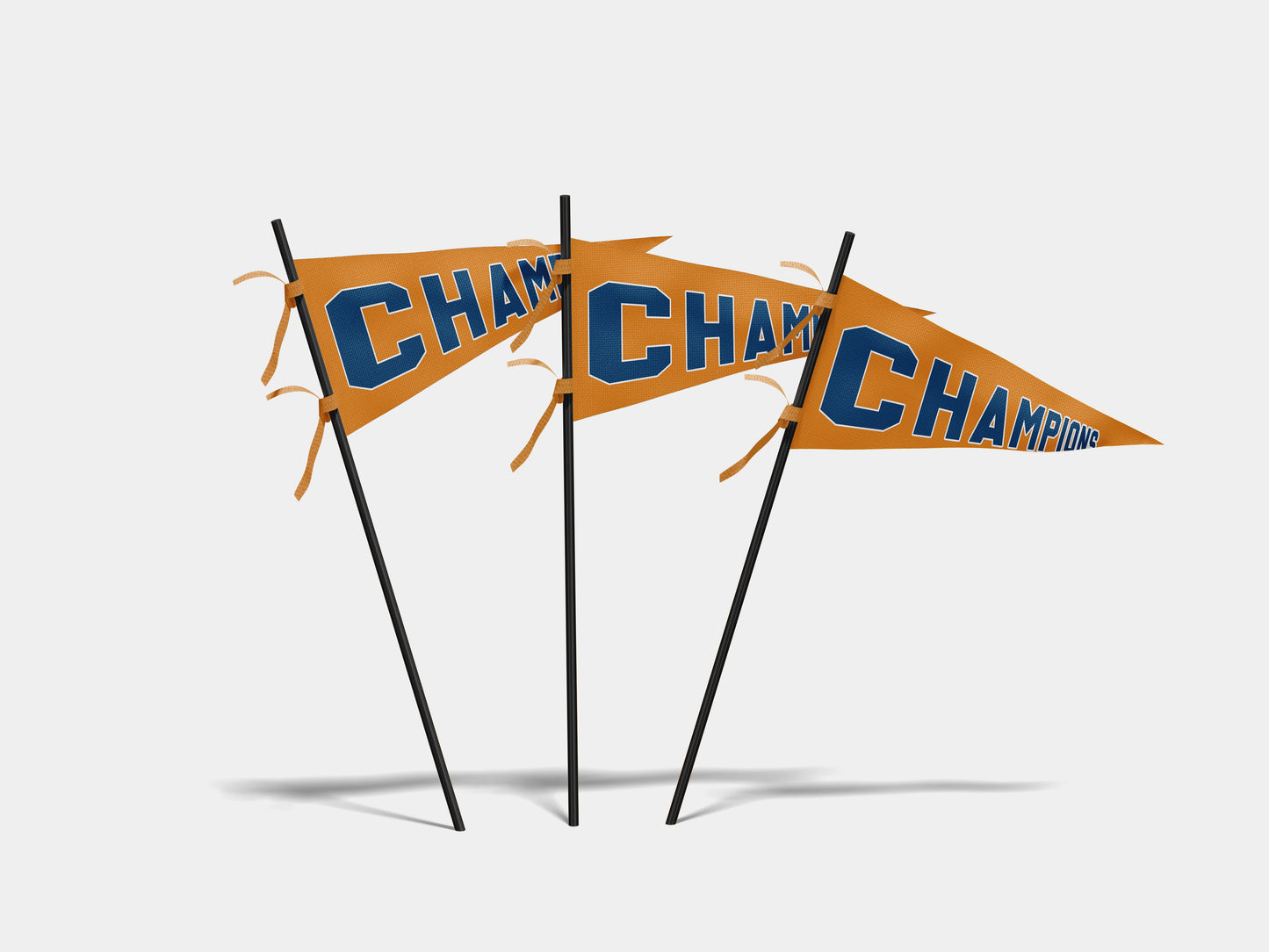 Print Sports Pennant Champions 62x24cm