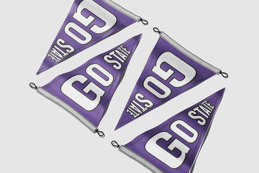 Print Sports Pennant Go State 62x24cm