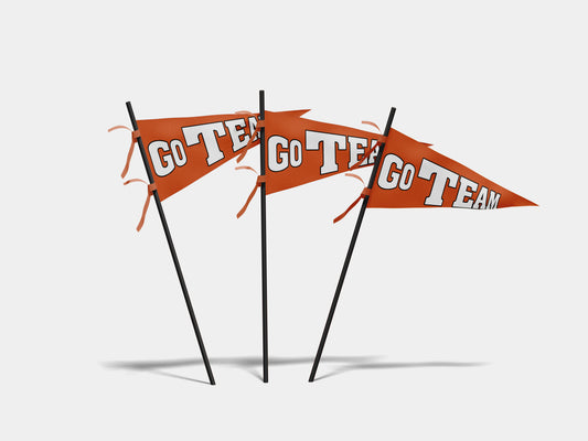 Print Sports Pennant Go Team 62x24cm