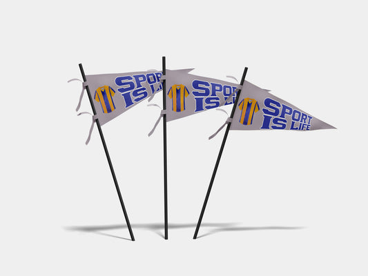 Print Sports Pennant Sport Is Life 62x24cm