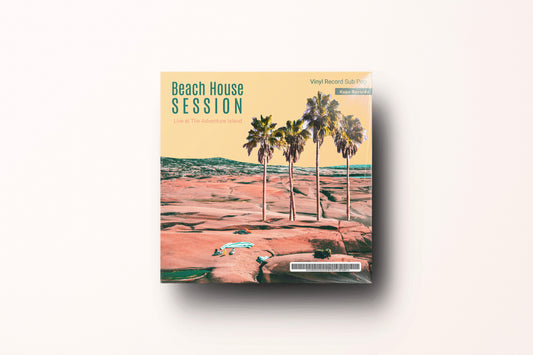 Print Vinyl Record Beach Palm House 32x32cm