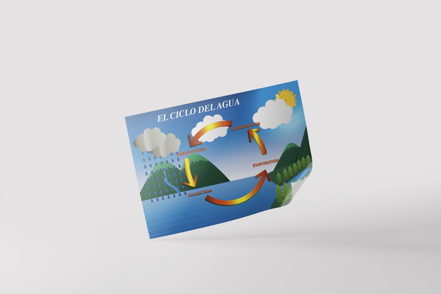 Print School Water Cycle 90x60cm