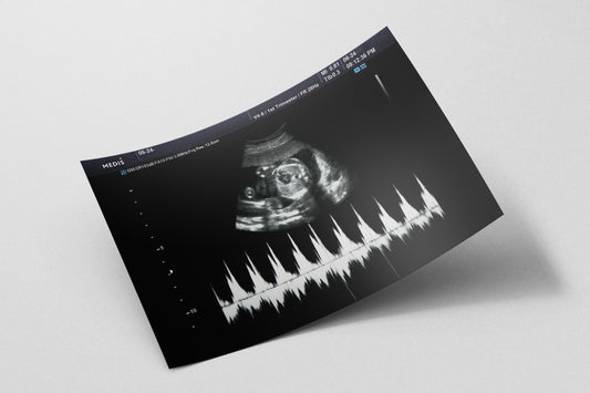 Prop Documents Ultrasound V2 27x18.4cm