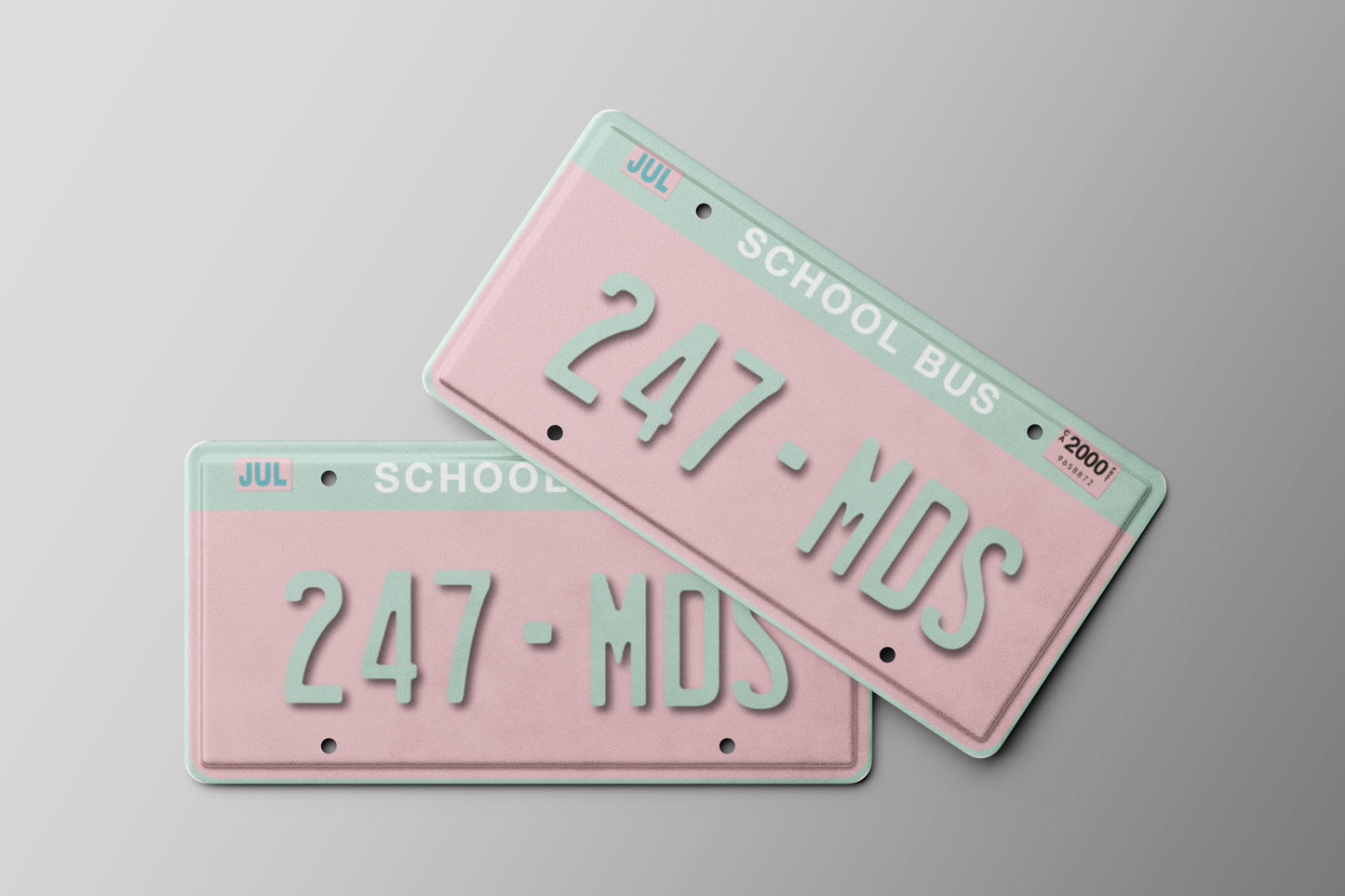 Prop License Plate School Bus Pink 30x15cm