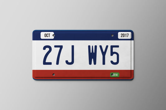 Prop License Plate White Blue Red 30x15cm