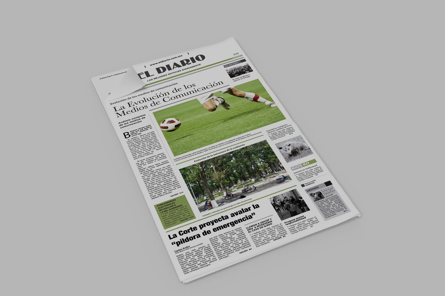 Prop Newspaper Daily News El Diario Green 23x43cm
