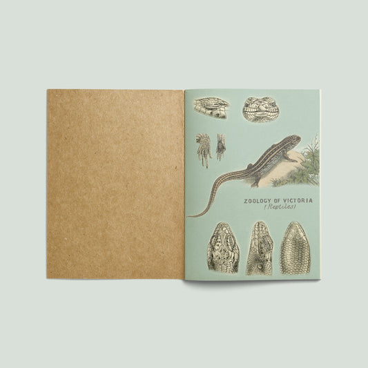 Print Animal Reptiles Green Vintage 24x32cm